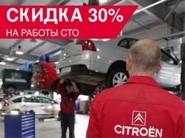     30%   Citroen