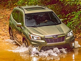 Subaru Forester     2019  Euro NCAP