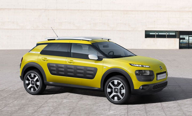   CITRON C4 Cactus    !